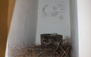 Il Mulino Sapignoli