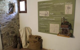 Il Mulino Sapignoli